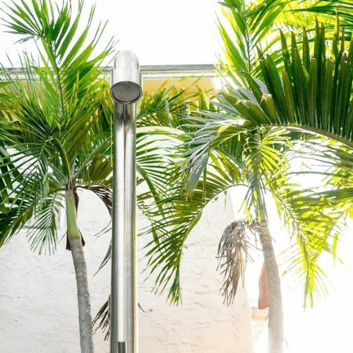 Pohled zepředu na horní část sprchy JEE-O soho, za ní palmové listy 