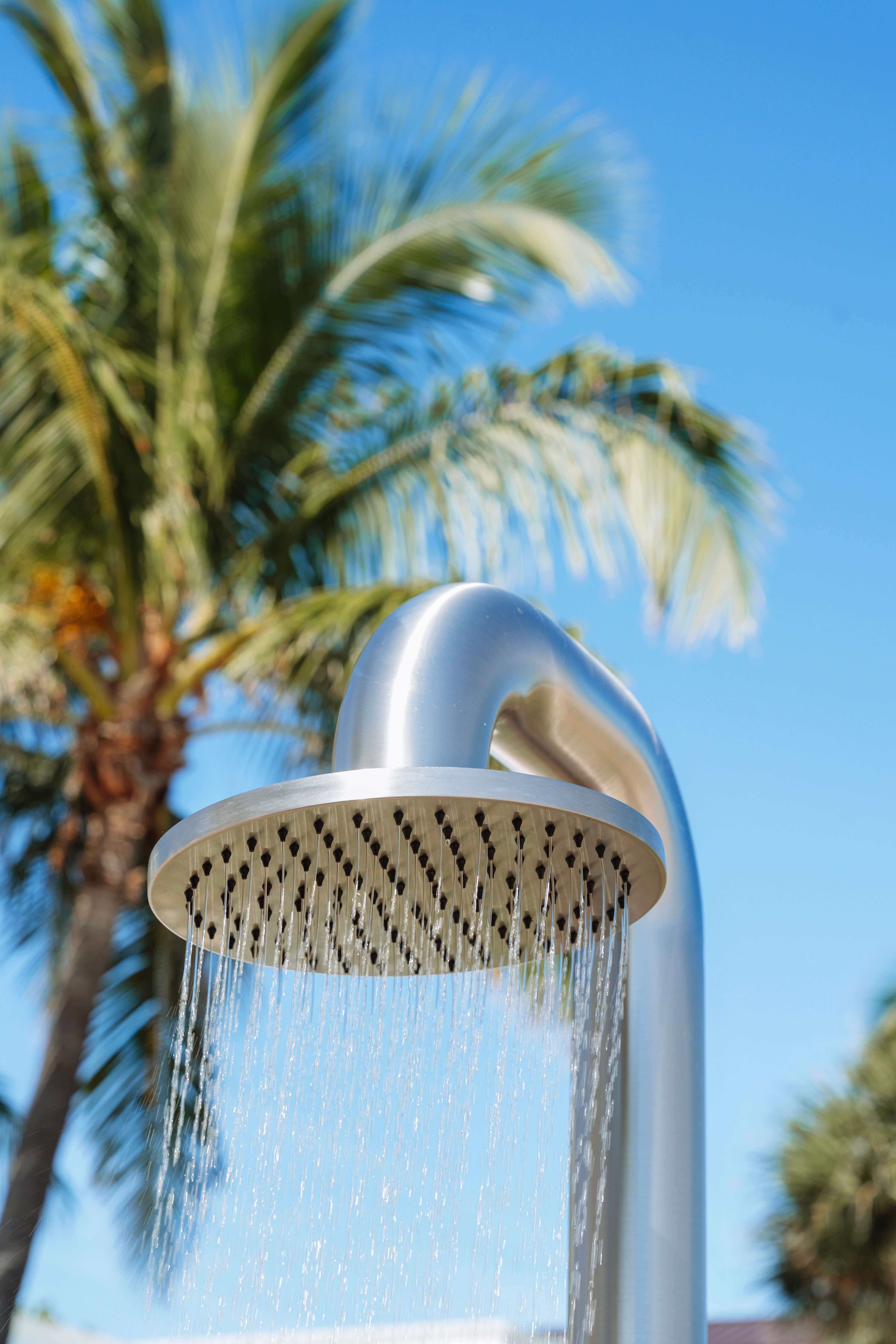 Detail broušené dešťové sprchové hlavice s puštěnou vodou JEE-O fatline, v pozadí palma